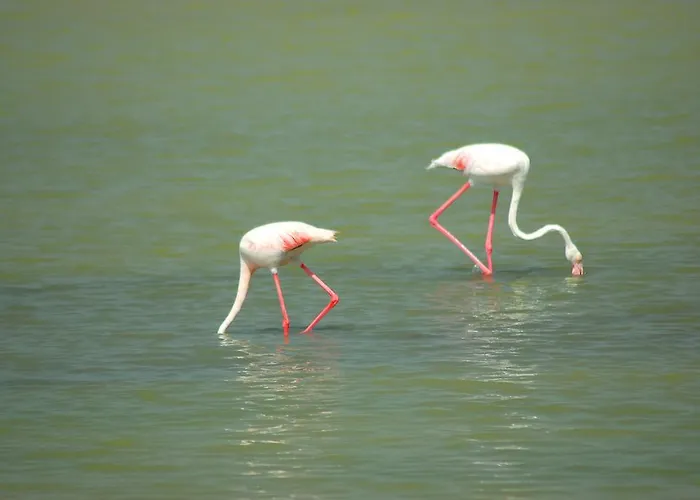 Cala La Manzanera